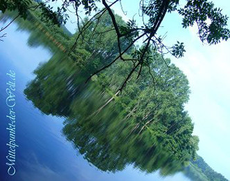 Baum Spiegelung See Natur